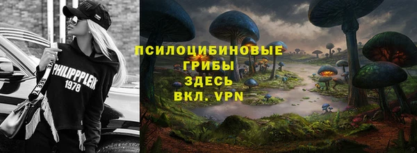 крисы Белоозёрский